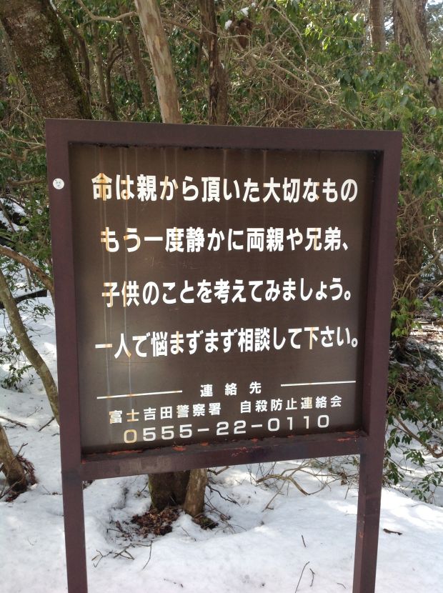 foresta dei suicidi Aokigahara