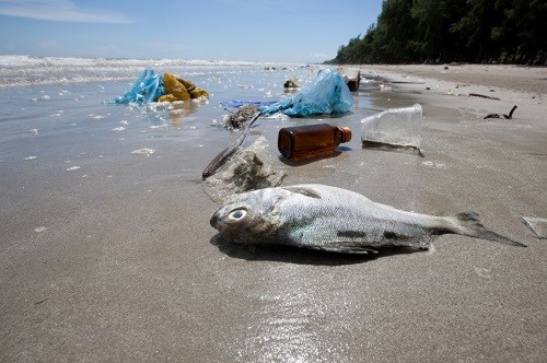 inquinamento plastica in mare