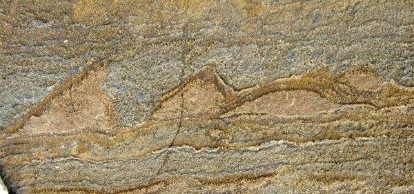 Archeologia: il fossile più antico del Mondo trovato in Groenlandia