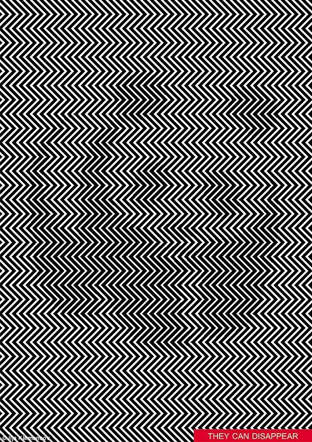 panda illusione ottica