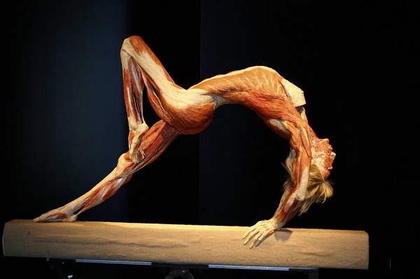body-worlds-mostra-cadaveri-roma