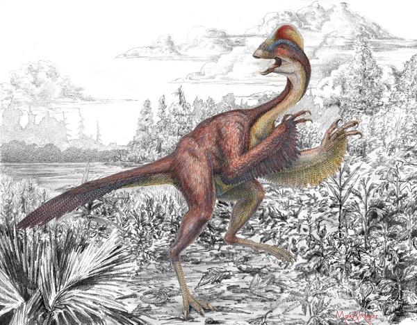 dinosauro pollo infernale Anzu wyliei