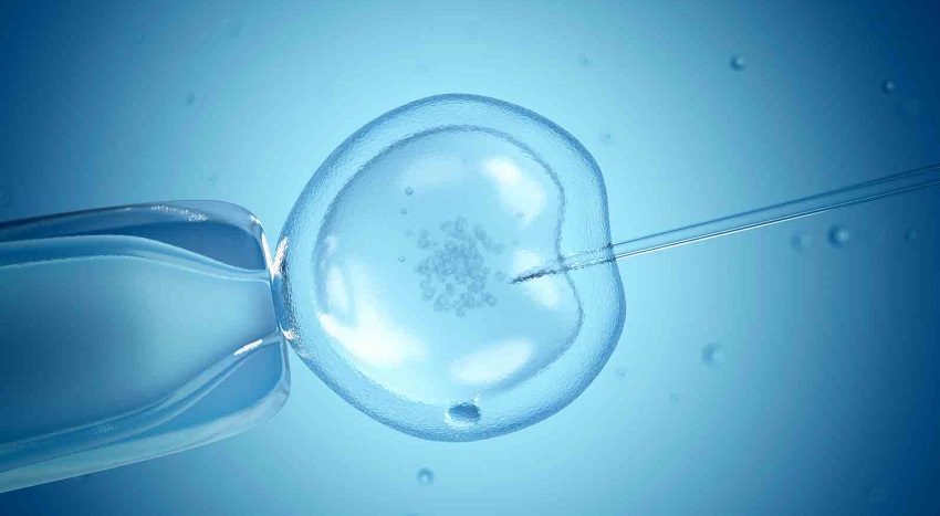 CRISPR Cas9 fivet embrioni