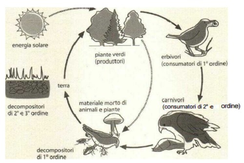 biodiversità ciclo naturale