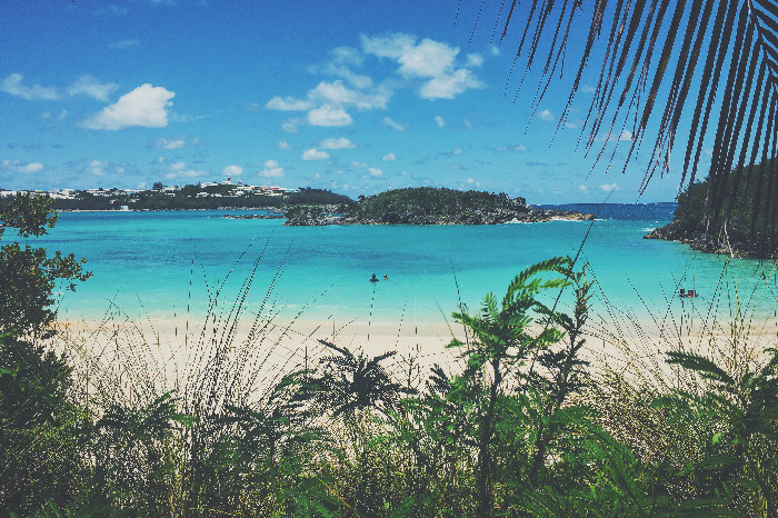 Bermuda, Turtle Bay. Foto on instagram @cketo