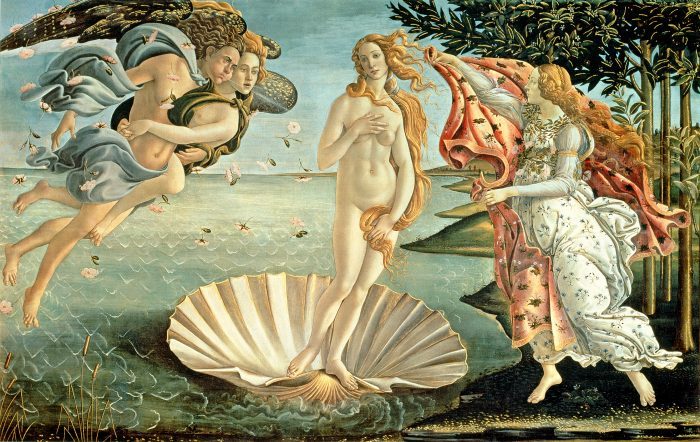 polmone nella venere di Botticelli