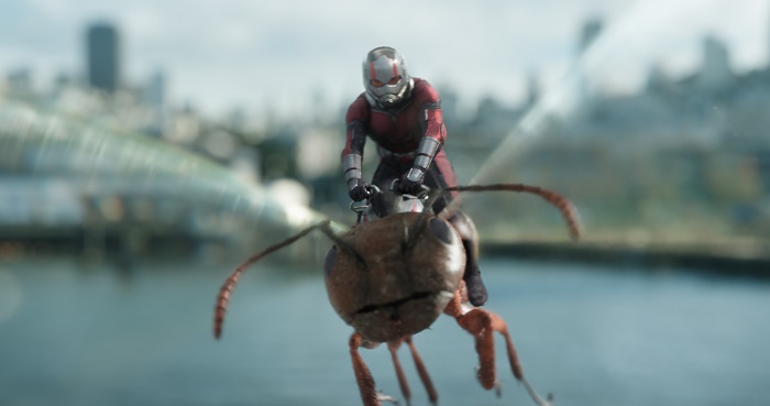 Ant-Man and the Wasp debutto