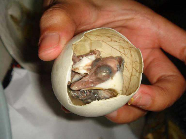 Probabilmente il piatto più disgustoso della lista, il Balut è una pietanza a base di uova di oca. Popolare nelle Filippine, Thailandia e Cambogia, il balut si mangia quando gli embrioni sono di circa 17 giorni di età, dove le ossa sono appena formate. Come si mangia? Succhiando elegantemente l’uovo dopo averlo bollito con una salsa a base di peperoncino, aceto e aglio.