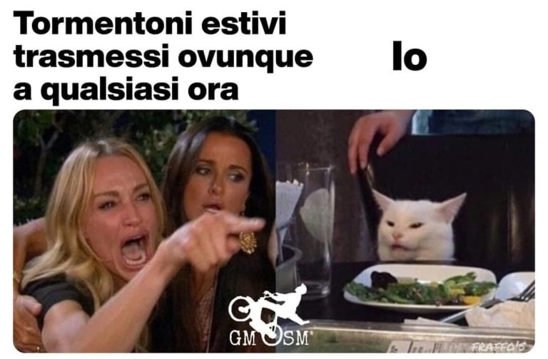 gatto meme (8)