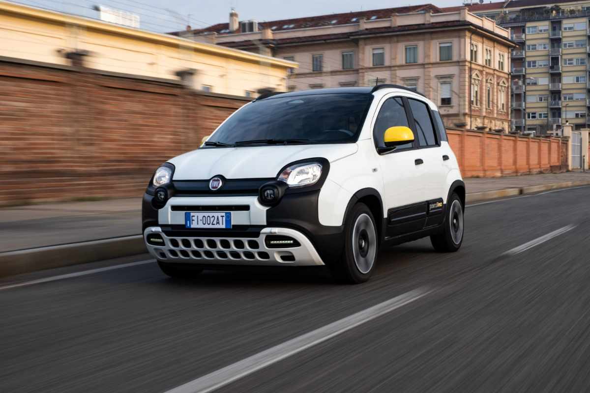 Panda in strada