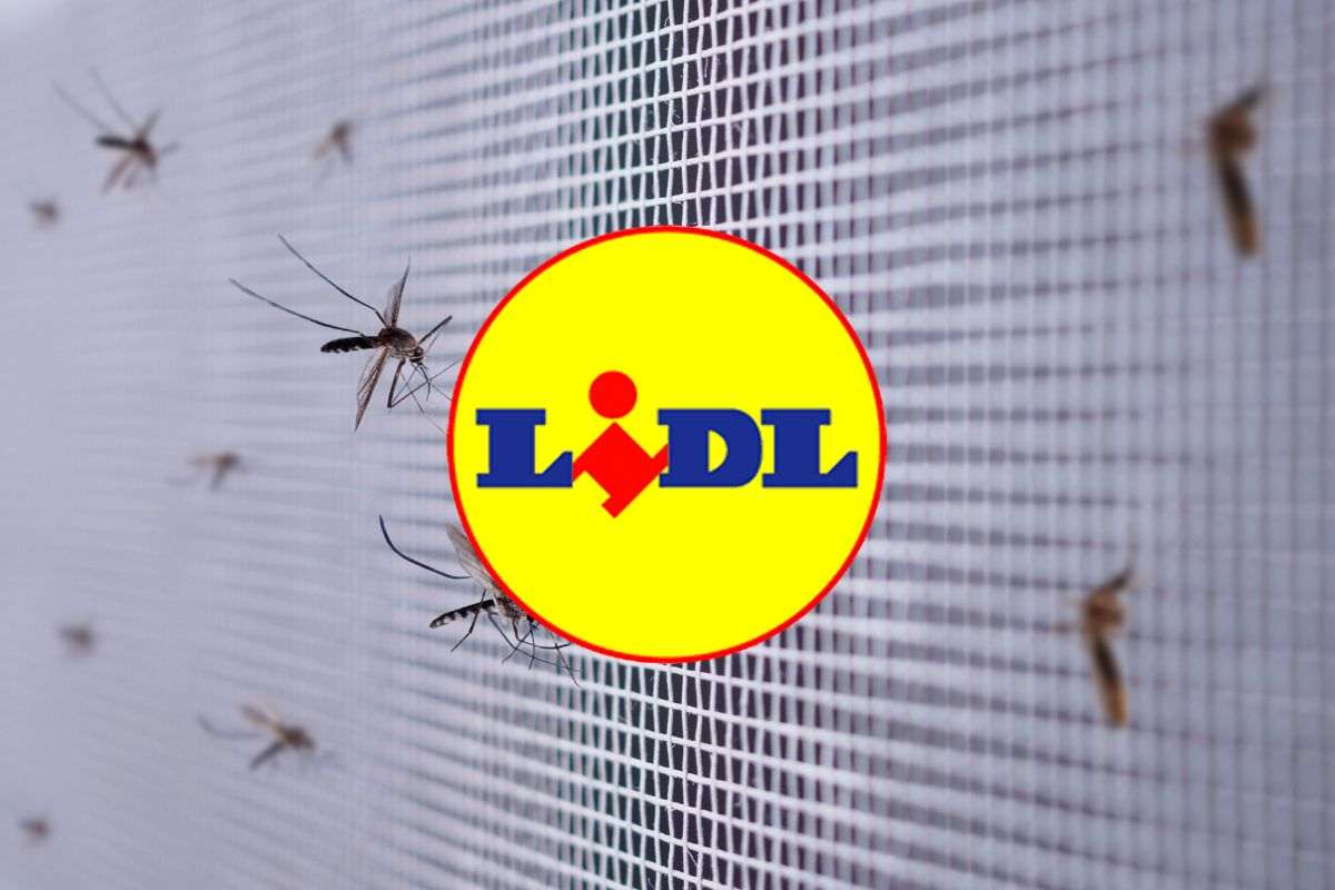 zanzare su zanzariera e logo lidl