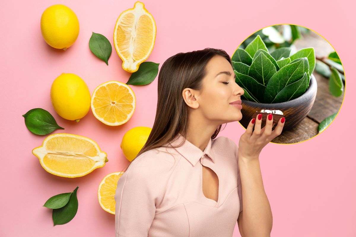 limone allor e donna che sente profumo
