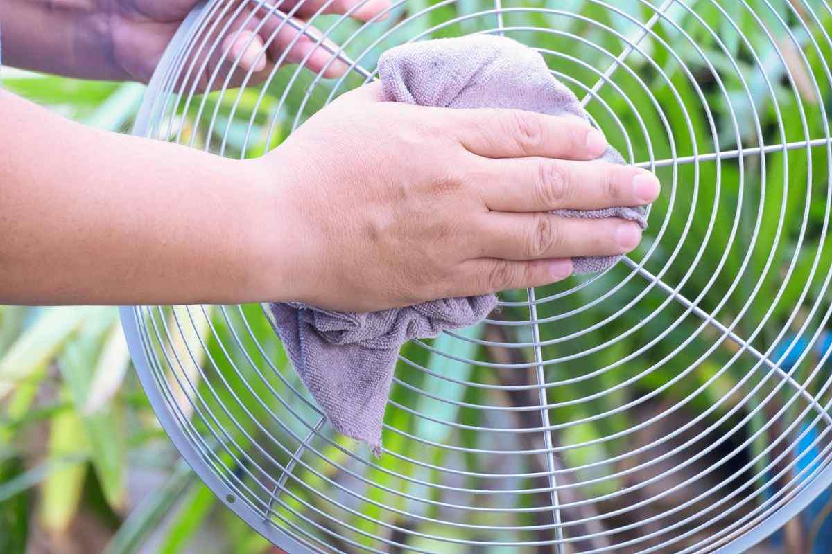 pulizia del ventilatore
